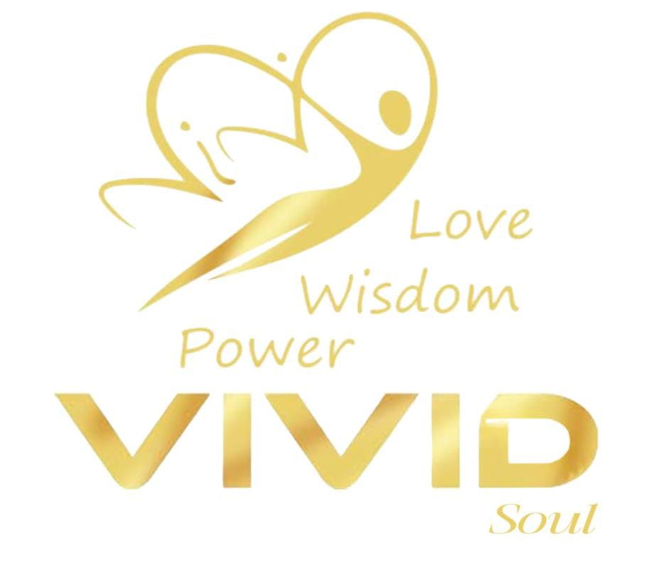 Vivid Soul Logo
